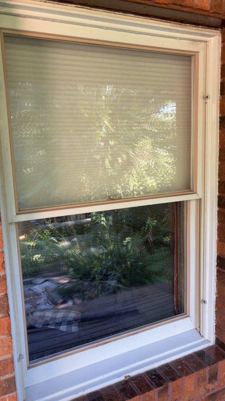 Clean window exterior after professional cleaning